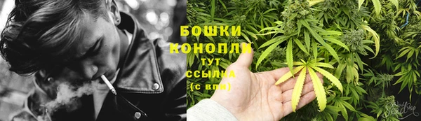 мет Протвино